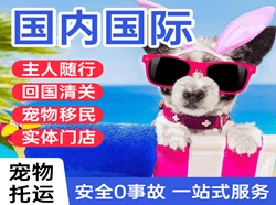 连云港花果山航空快运国际宠物托运 【国
